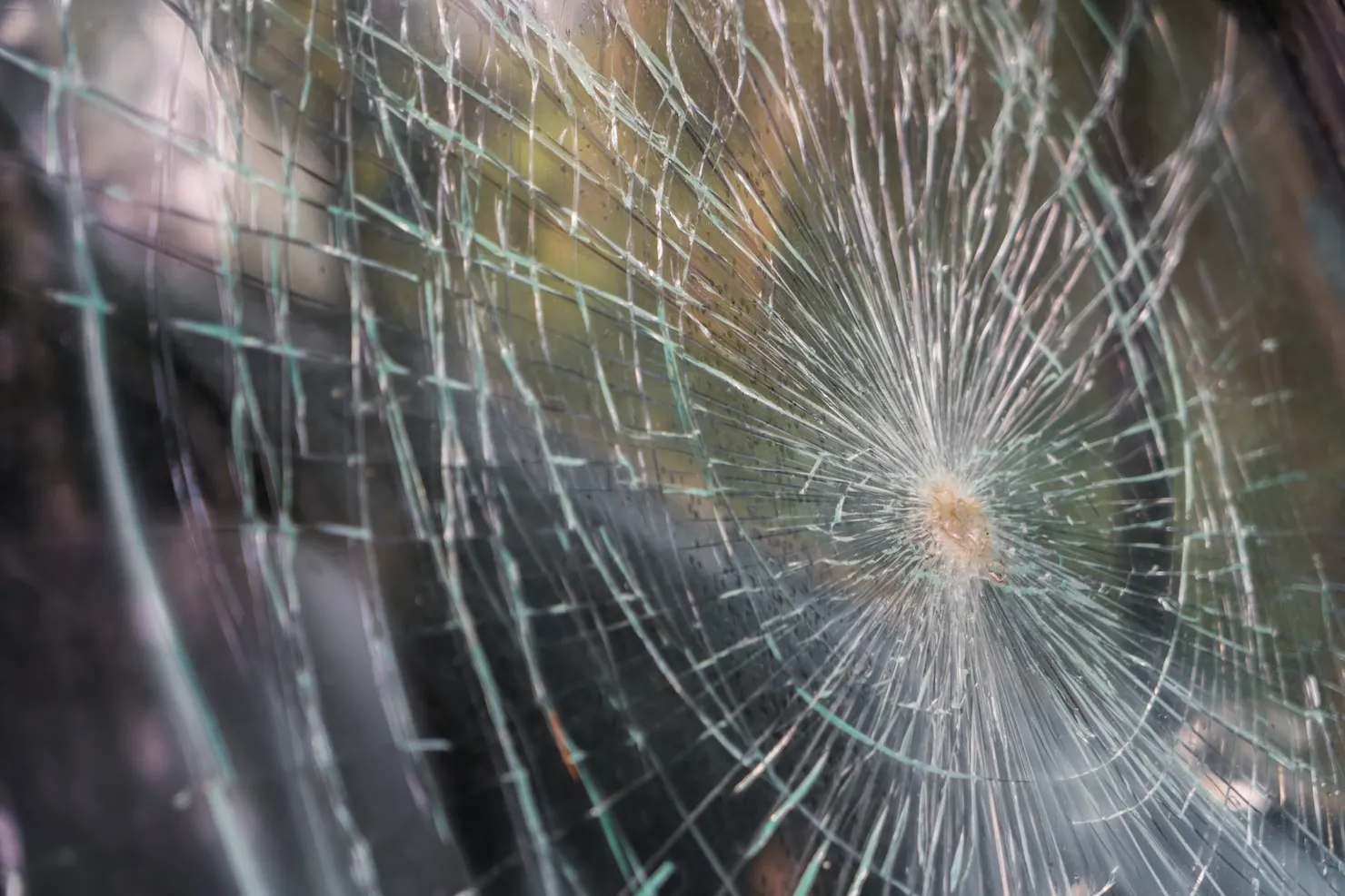 What Are Security Windows and Why Your Business Needs Them for Protection